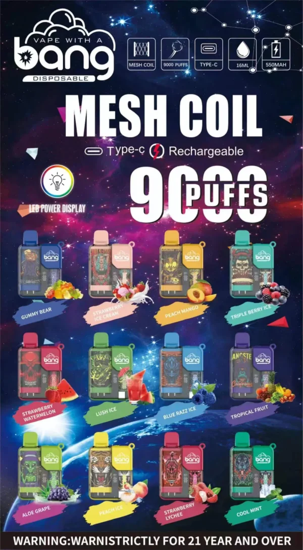 Bang Box 9000 Puffar 0% 2% 3% 5% Nikotin Uppladdningsbar LED Pover Display Disponibel Vape Partihandel - BackVape - 1