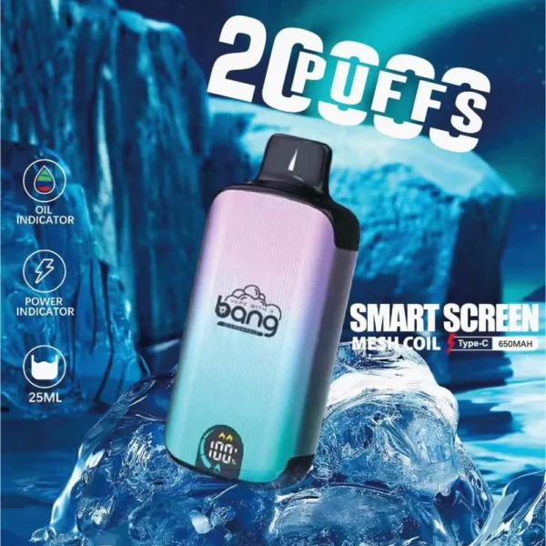 Bang Vape 20000 Puffs Dual Mesh 0% 2% 3% 5% LED displej s nízkym obsahom nikotínu Nabíjateľný hromadný nákup jednorazového vape pera veľkoobchod - BackVape - 1