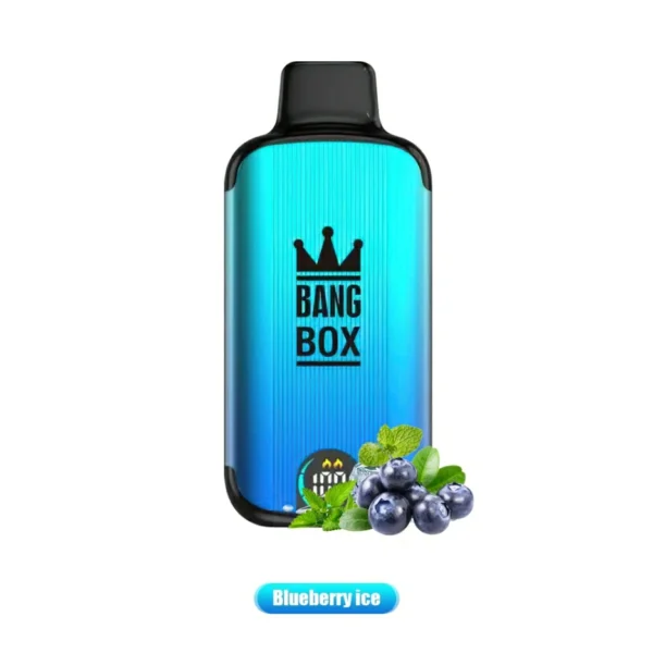 Bang Box 18000 Puffs LED Display skærm 0% 2% 3% 5% Lav nikotin Bulk Køb Genopladelig engangs Vape Pen Engros - BackVape - 2
