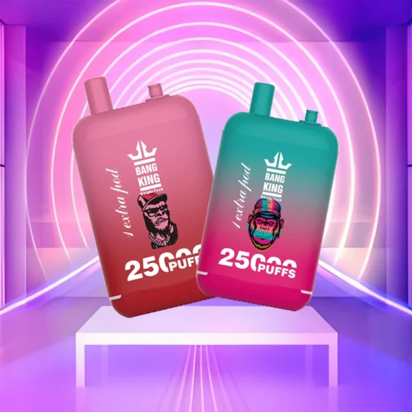 Bang King 25000 Puffs Dual Pods 0% 2% 3% 5% Vapes desechables recargables con bajo contenido de nicotina Pluma Compra a granel al por mayor - BackVape - 1
