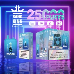 Bang King 25000 Puffs Dual Pods 0% 2% 3% 5% Vapes desechables recargables con bajo contenido de nicotina Pluma Compra a granel al por mayor - BackVape - 12
